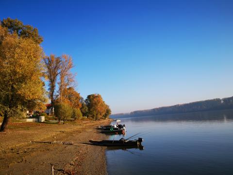 Naslovna slika