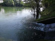 Rijeka Sava